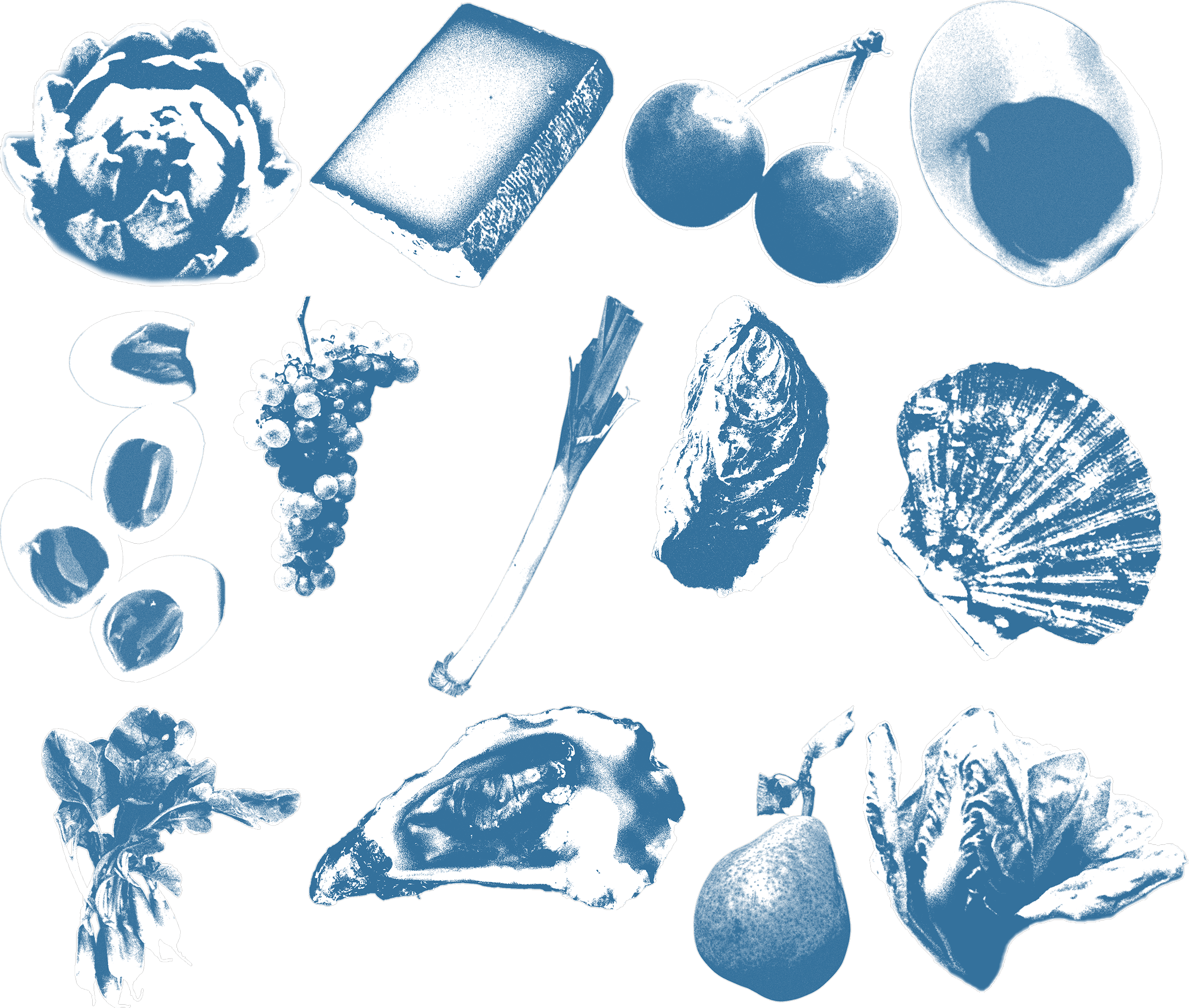 km-produce-portfolio